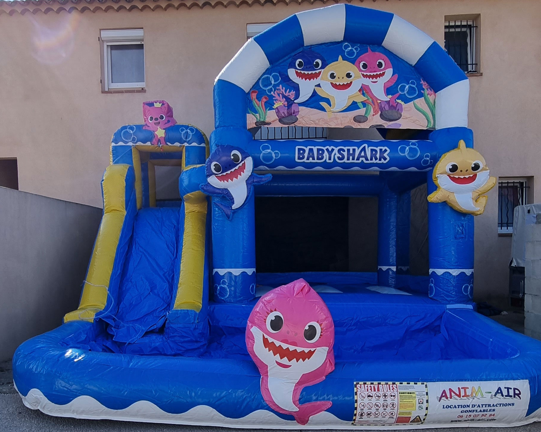 babyshark aquatique
