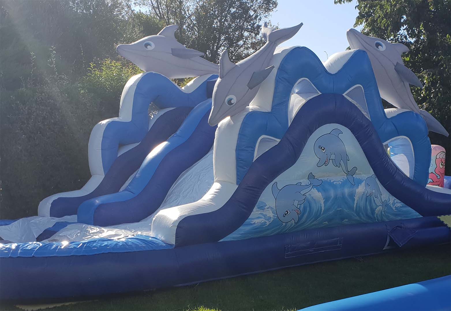 toboaquadauphin